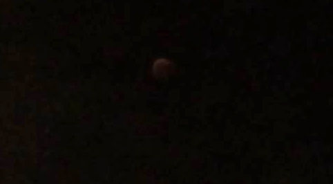 クリックで拡大。