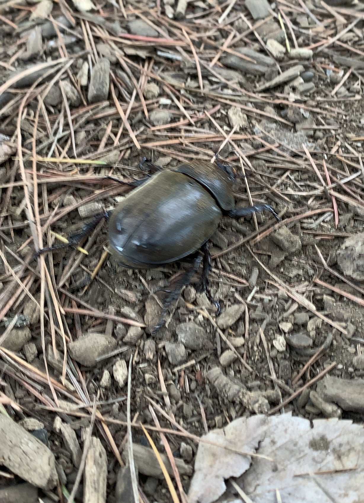 クリックで拡大(撮影:中野龍三)。