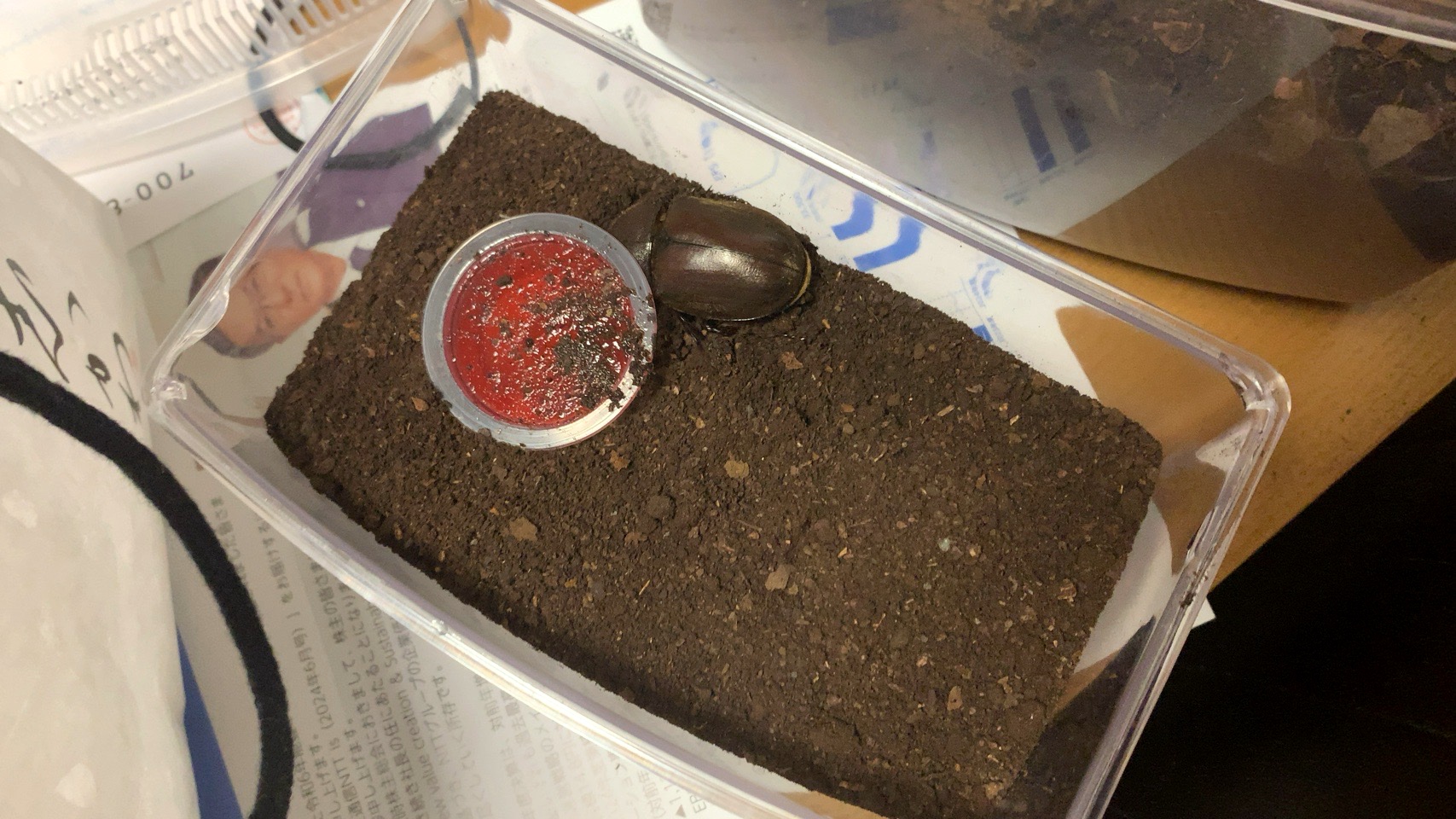 クリックで拡大(撮影:中野龍三)。