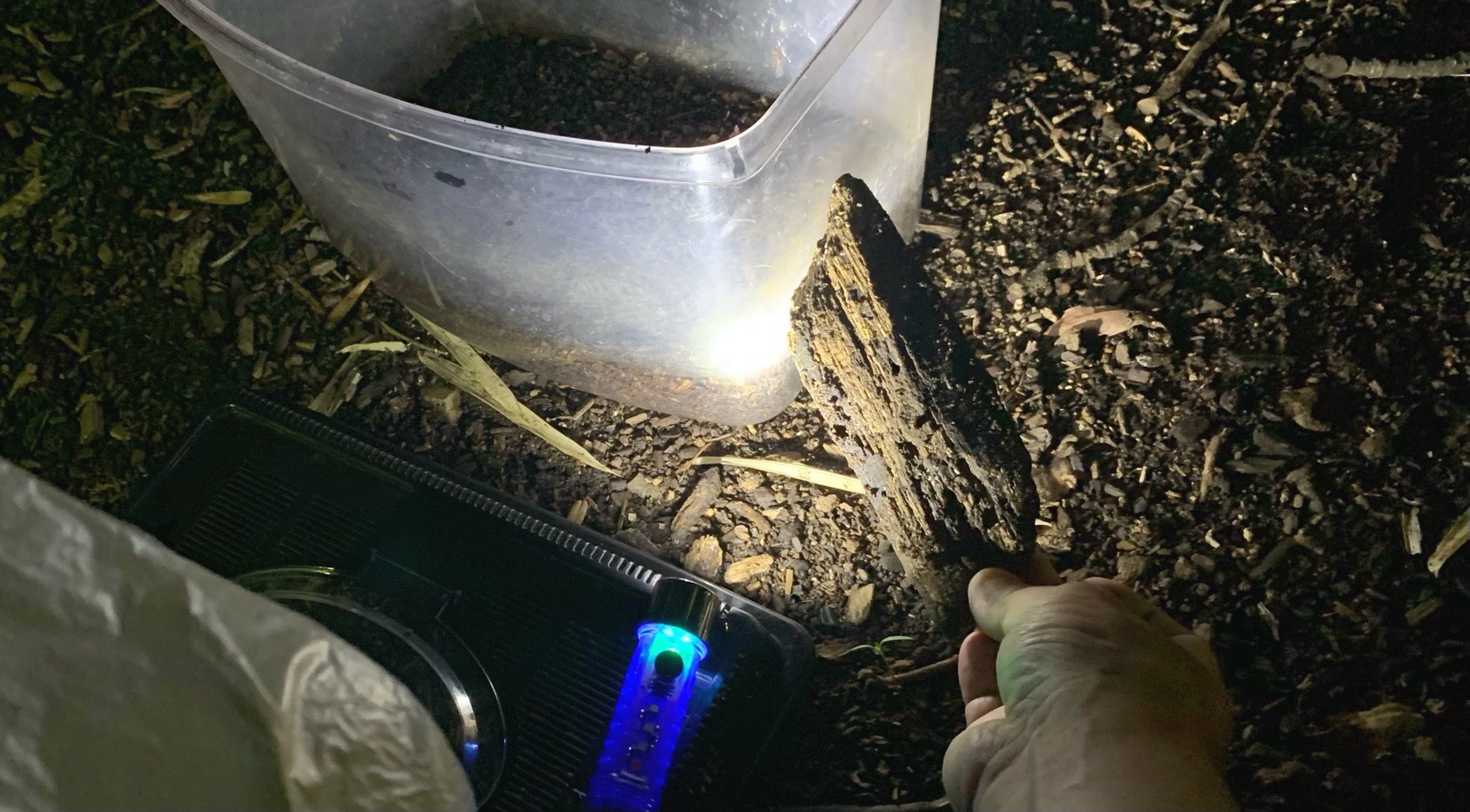 クリックで拡大(撮影:中野龍三)。