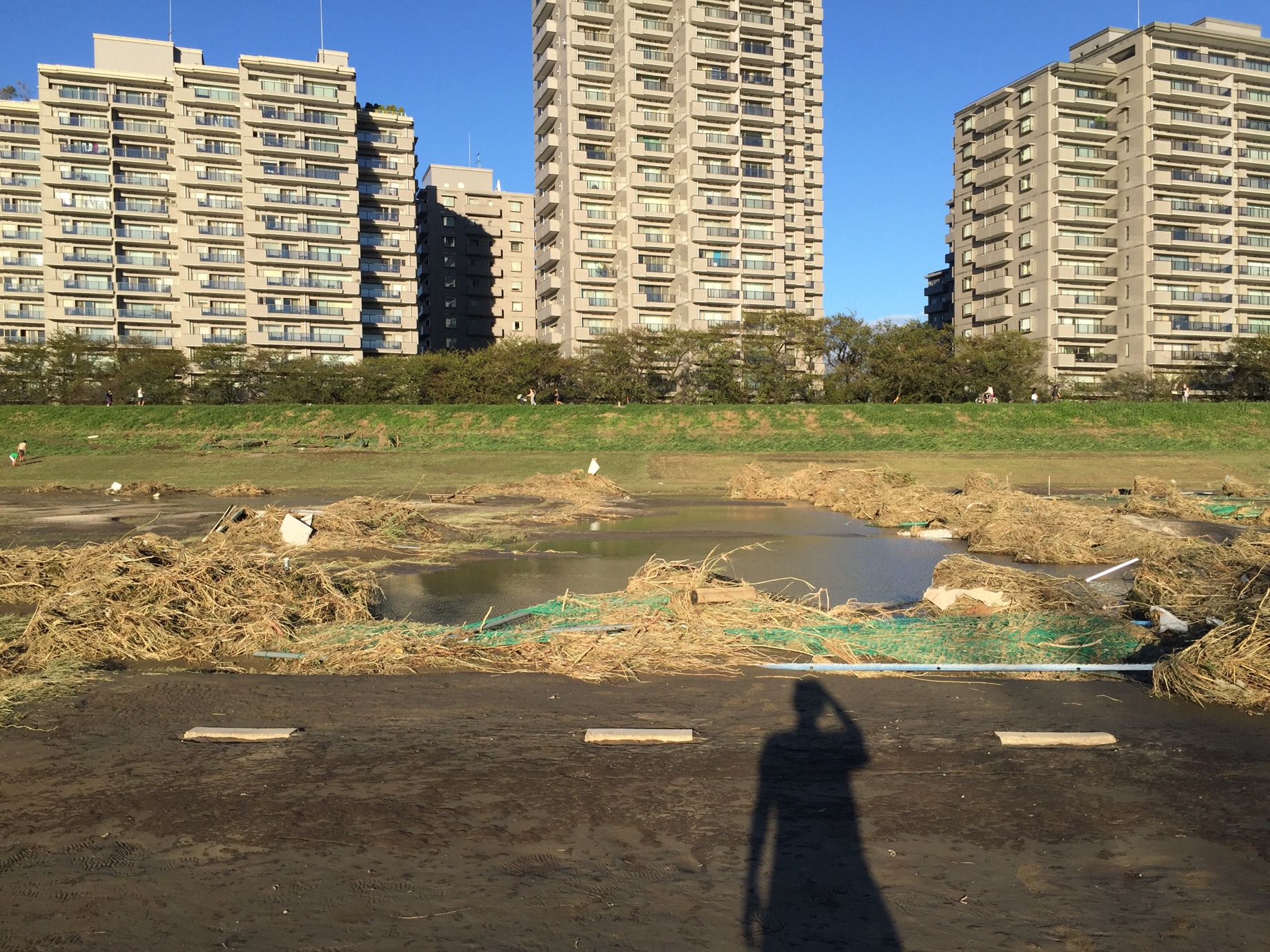 クリックで拡大(撮影:中野龍三)。