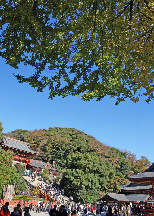 クリックで拡大。