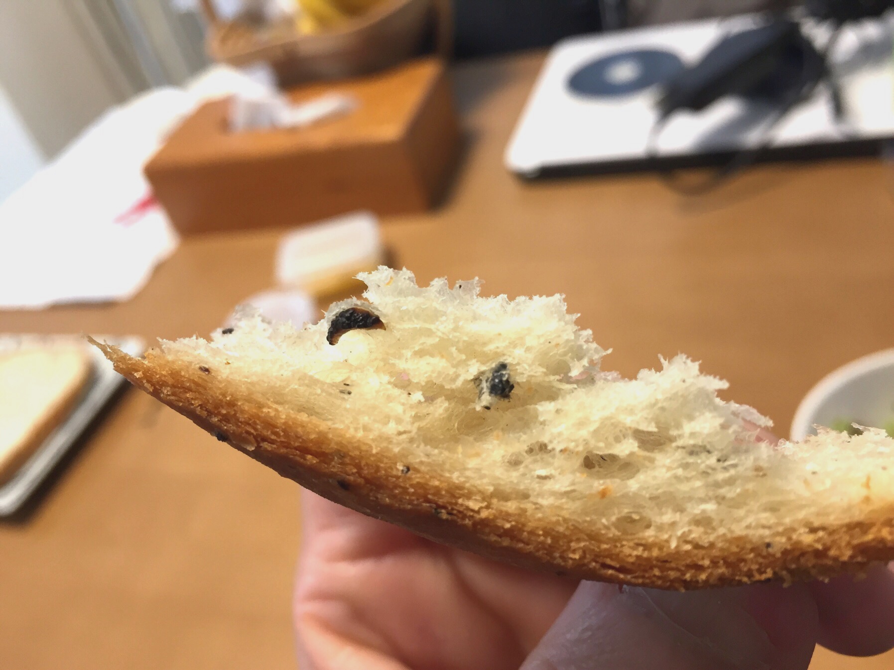 クリックで拡大(撮影:中野龍三)。
