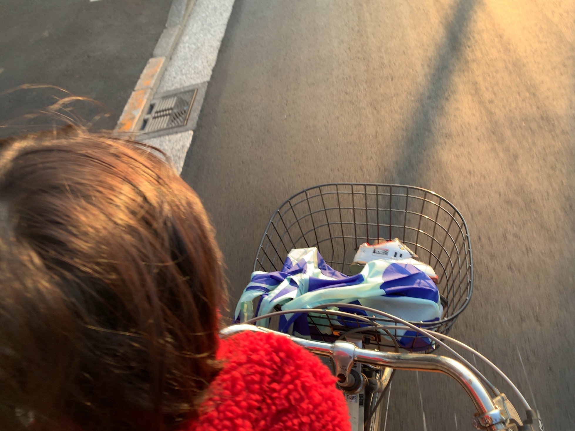 クリックで拡大(撮影:中野龍三)。