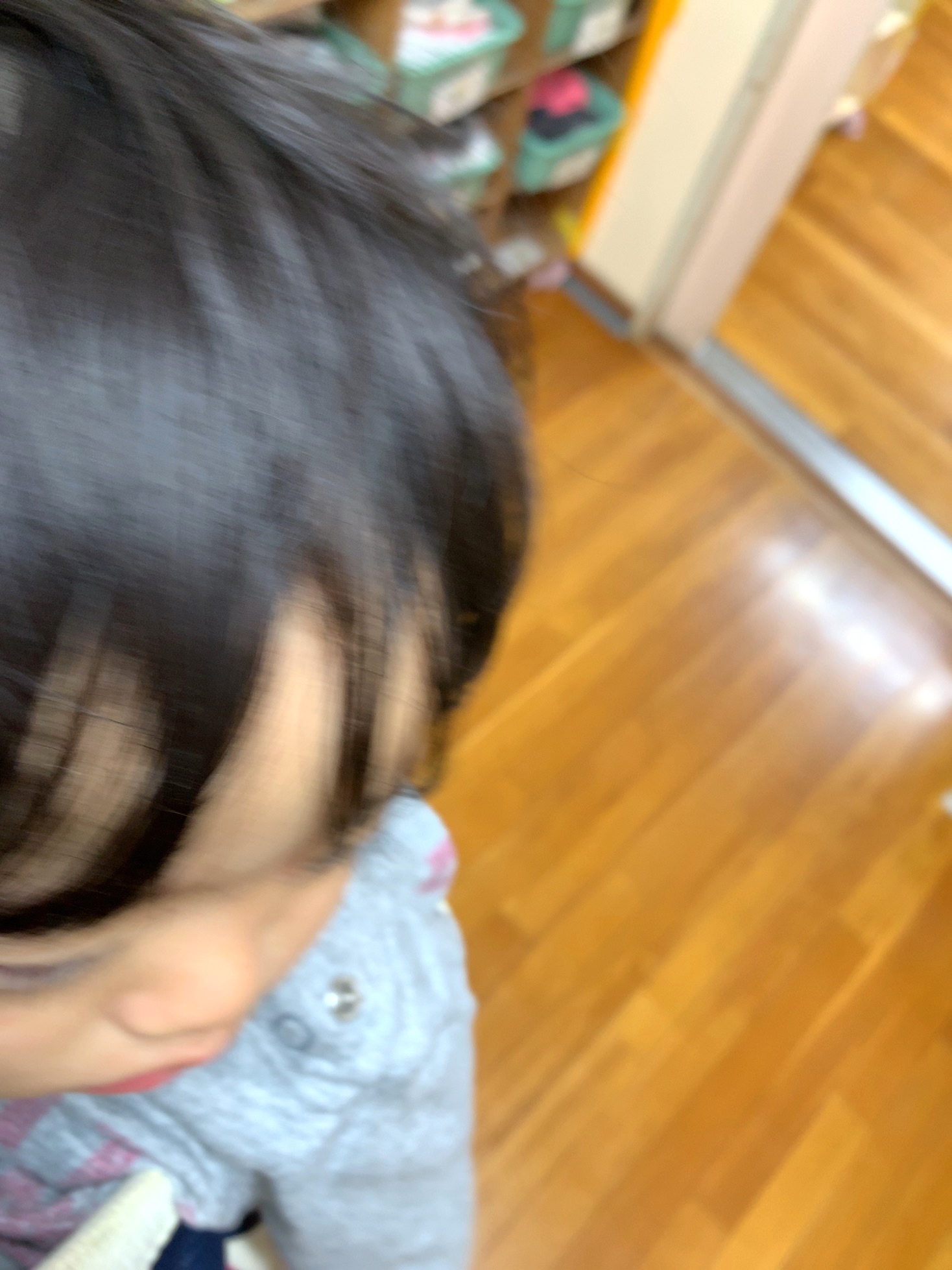 クリックで拡大(撮影:中野龍三)。