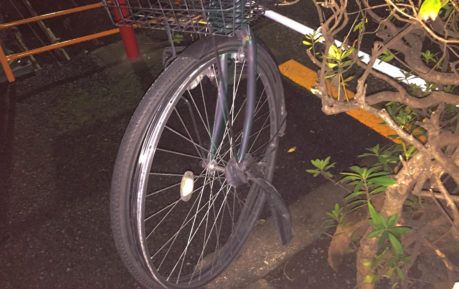 クリックで拡大(撮影:中野龍三)。