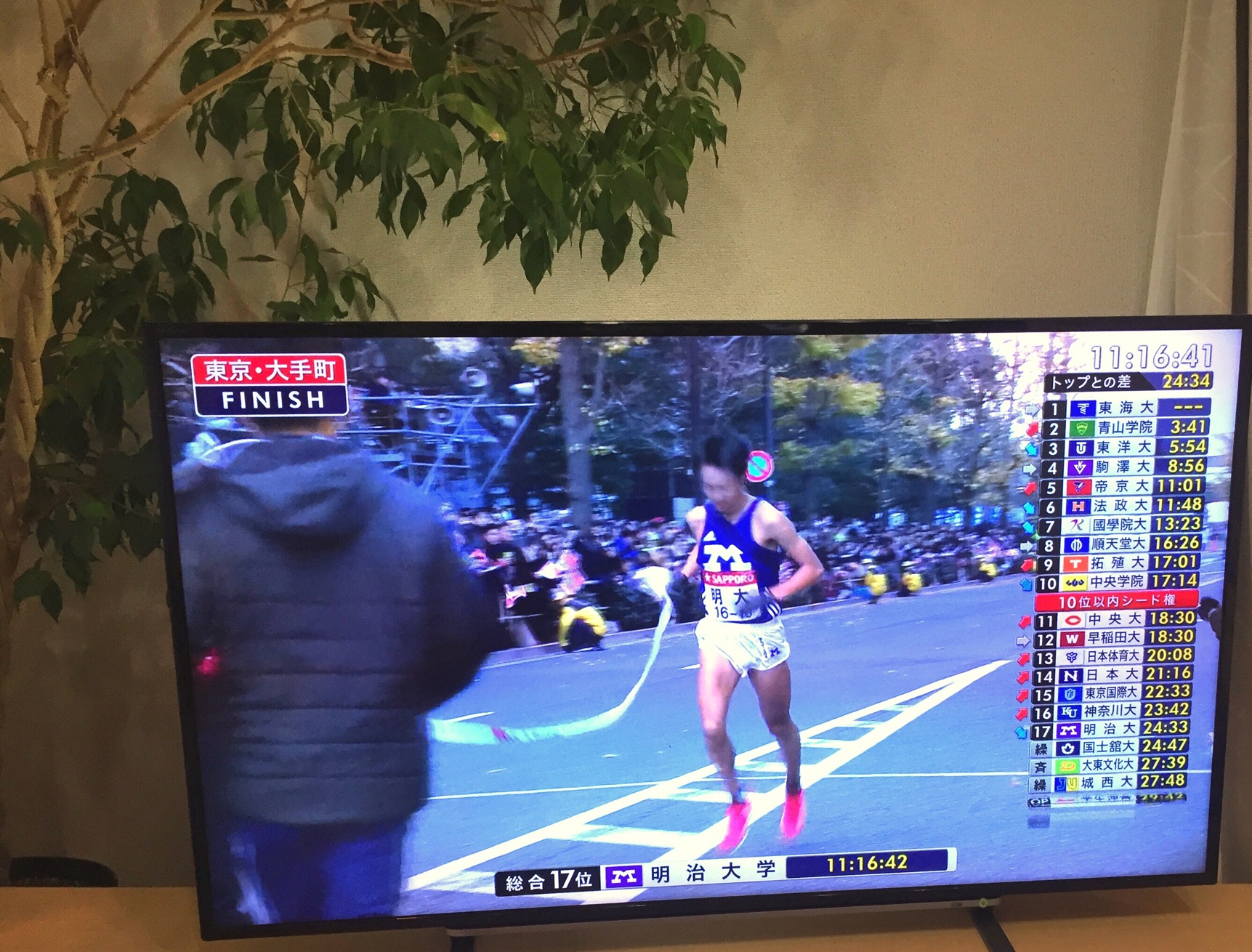 クリックで拡大(撮影:中野龍三)。