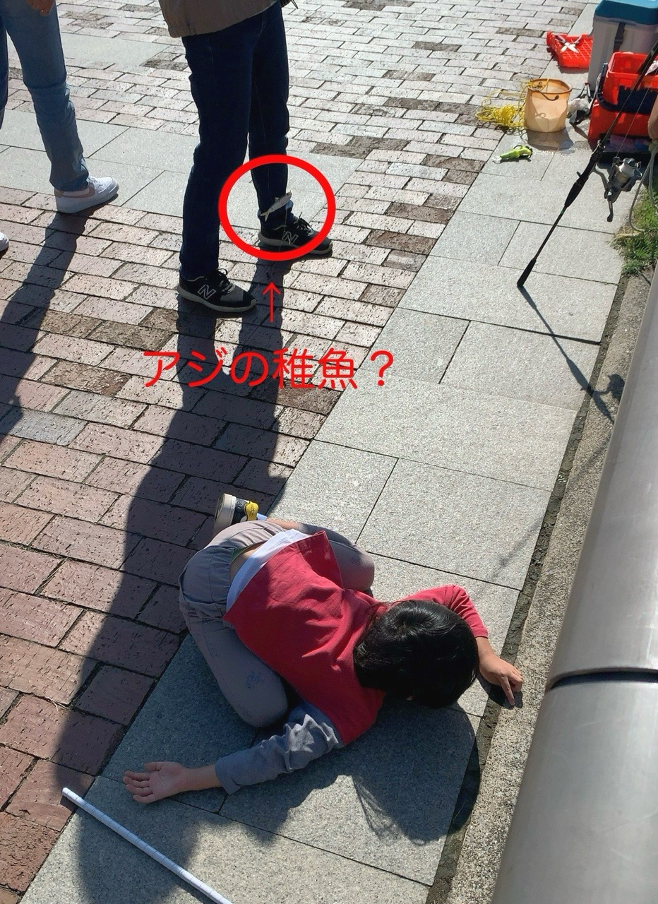 クリックで拡大(撮影:中野龍三)。