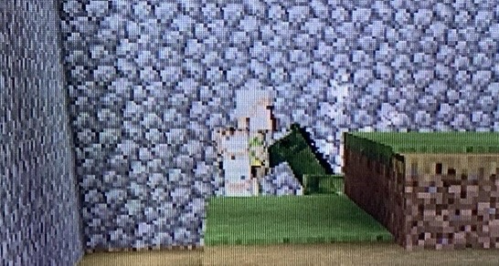 クリックで拡大(撮影:中野龍三)。