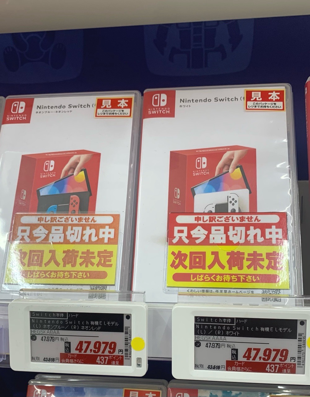 クリックで拡大(撮影:中野龍三)。