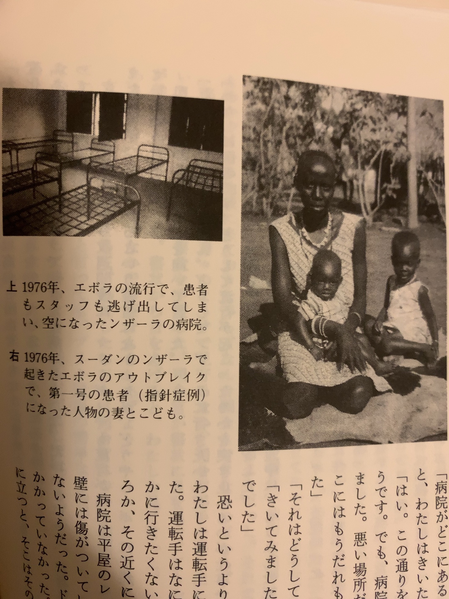 クリックで拡大(撮影:中野龍三)。
