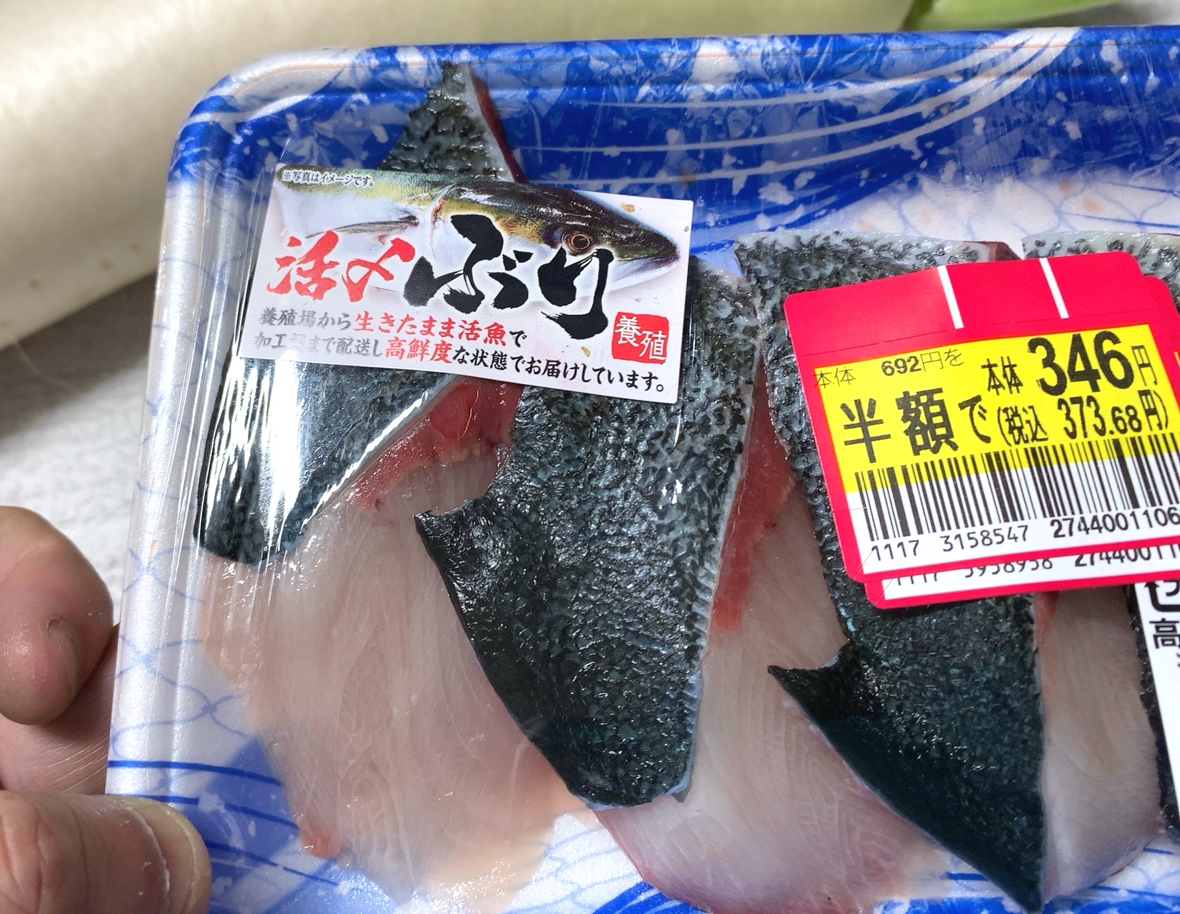 クリックで拡大(撮影:中野龍三)。