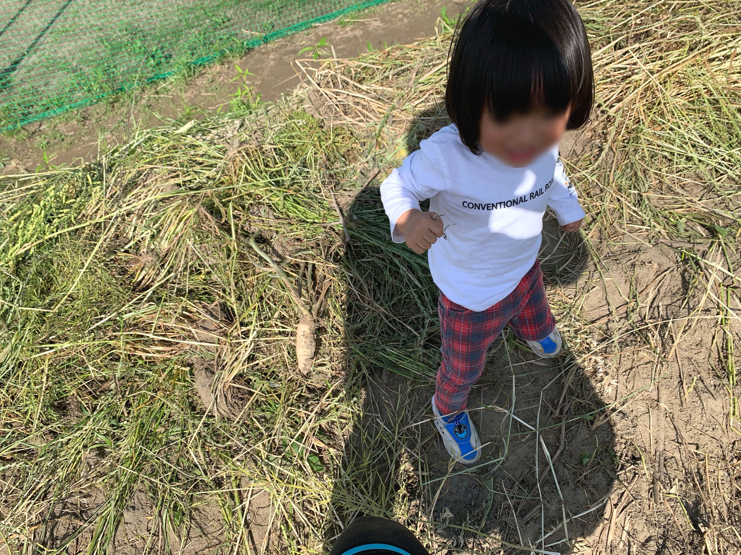 クリックで拡大(撮影:中野龍三)。