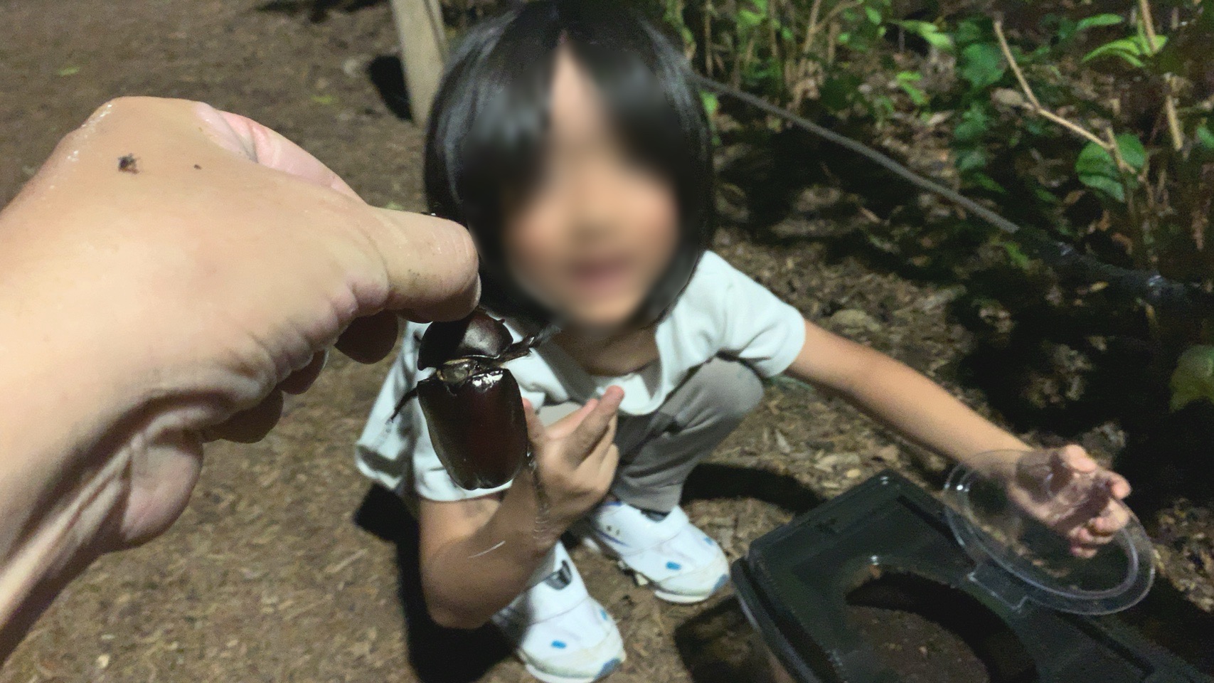 クリックで拡大(撮影:中野龍三)。