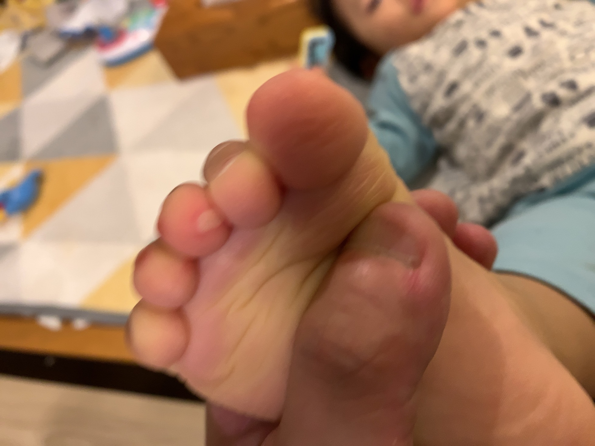 クリックで拡大(撮影:中野龍三)。