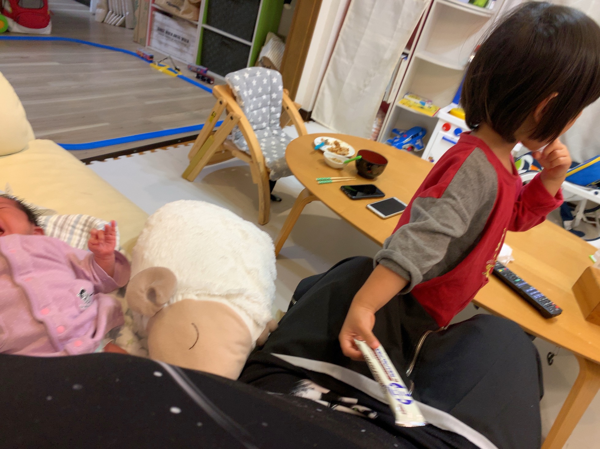 クリックで拡大(撮影:中野龍三)。