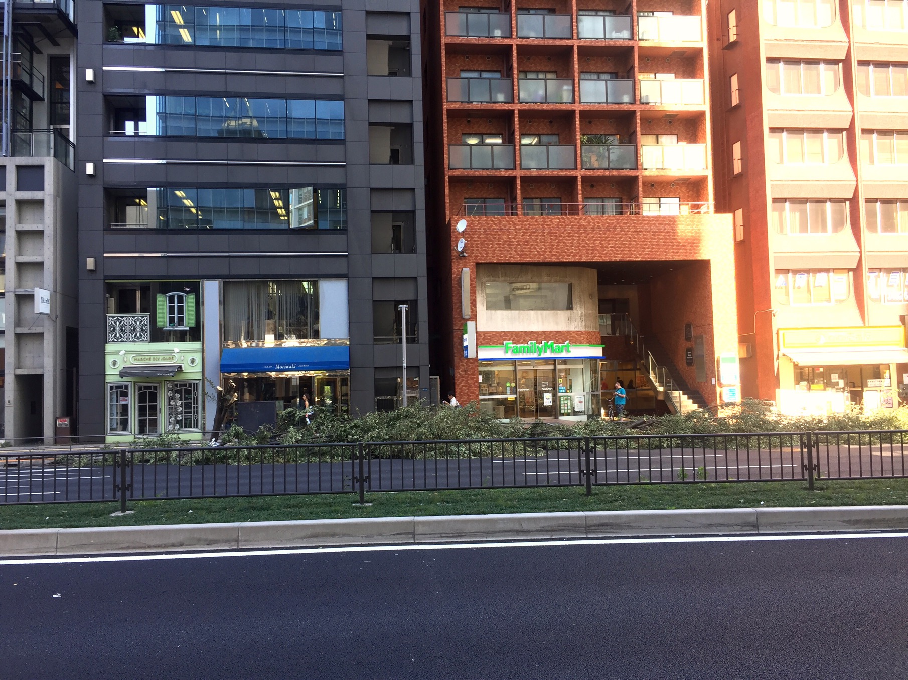 クリックで拡大(撮影:中野龍三)。