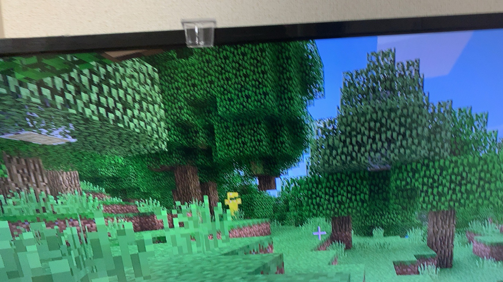 クリックで拡大(撮影:中野龍三)。