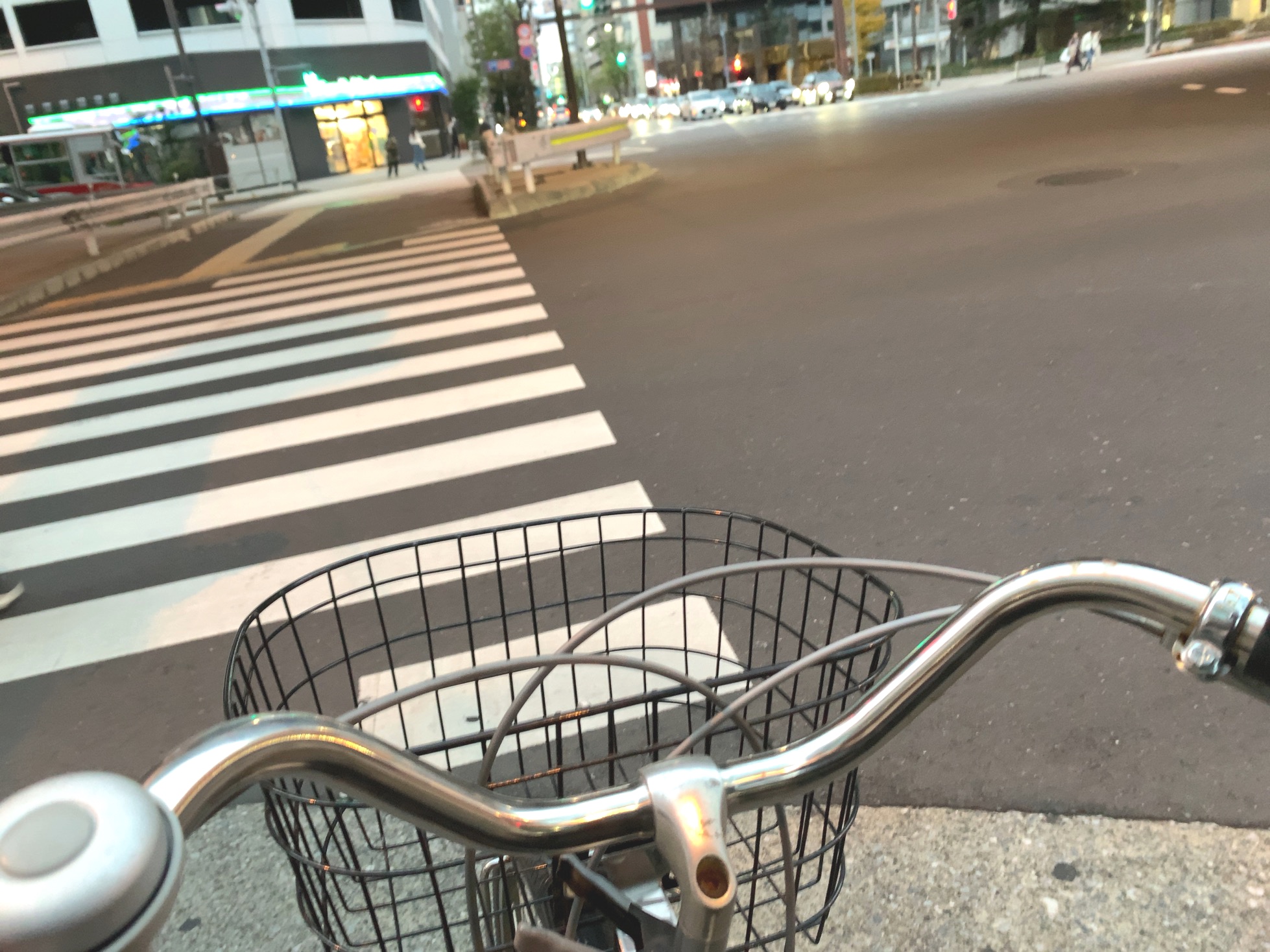 クリックで拡大(撮影:中野龍三)。