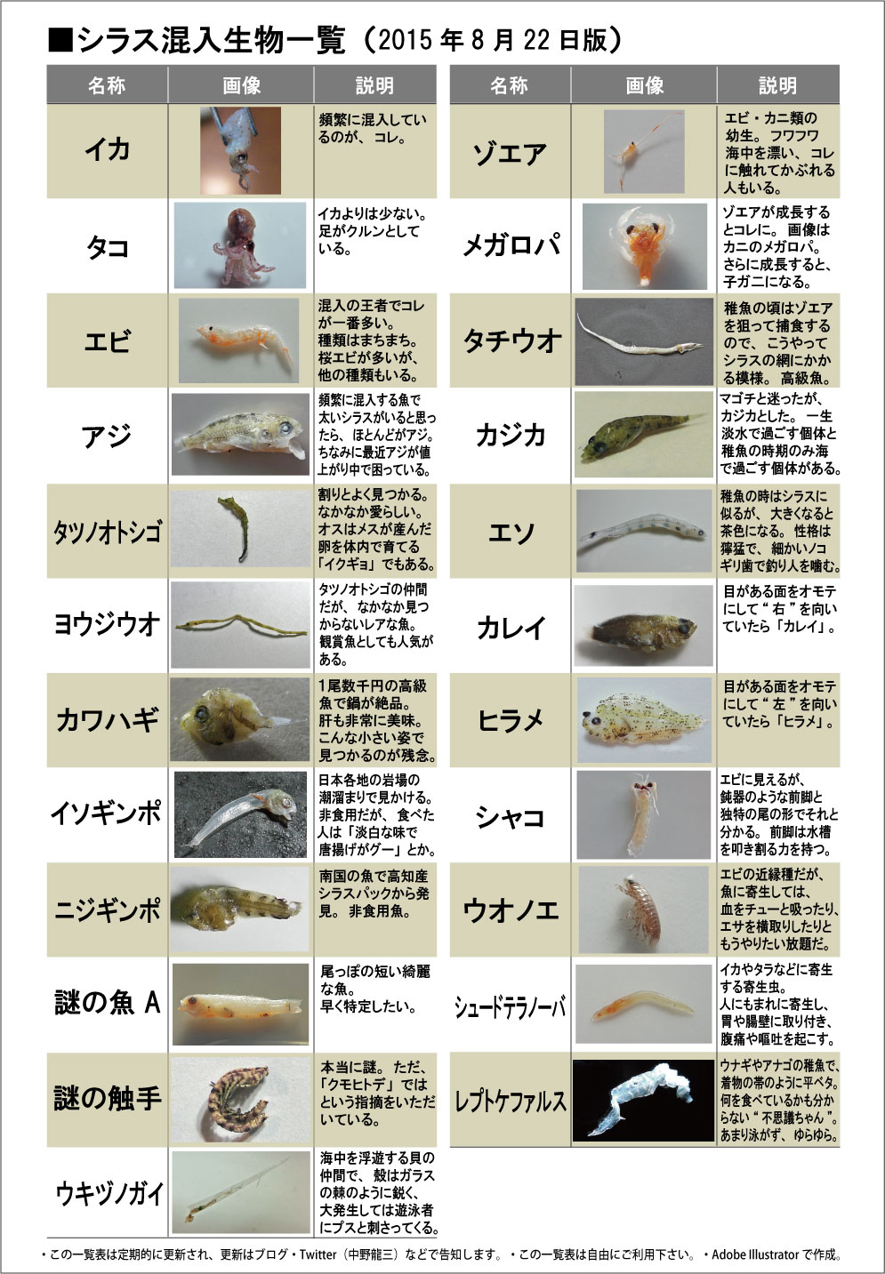 クリックで拡大。