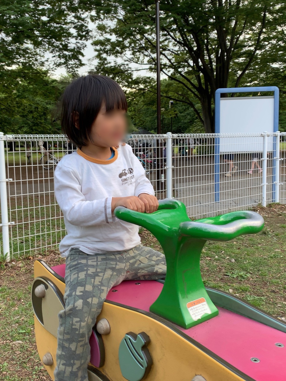 クリックで拡大(撮影:中野龍三)。