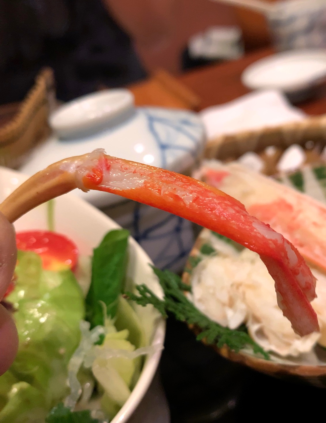 クリックで拡大(撮影:中野龍三)。