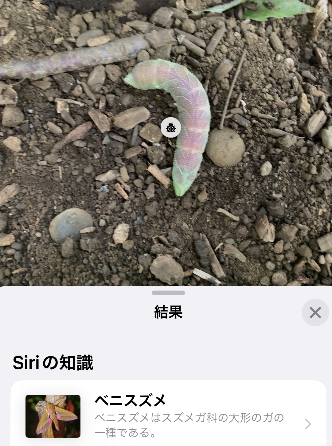 クリックで拡大(撮影:中野龍三)。