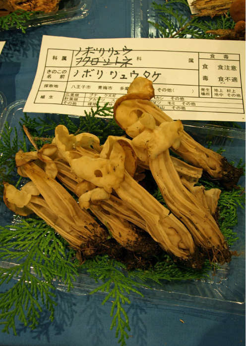 クリックで拡大。