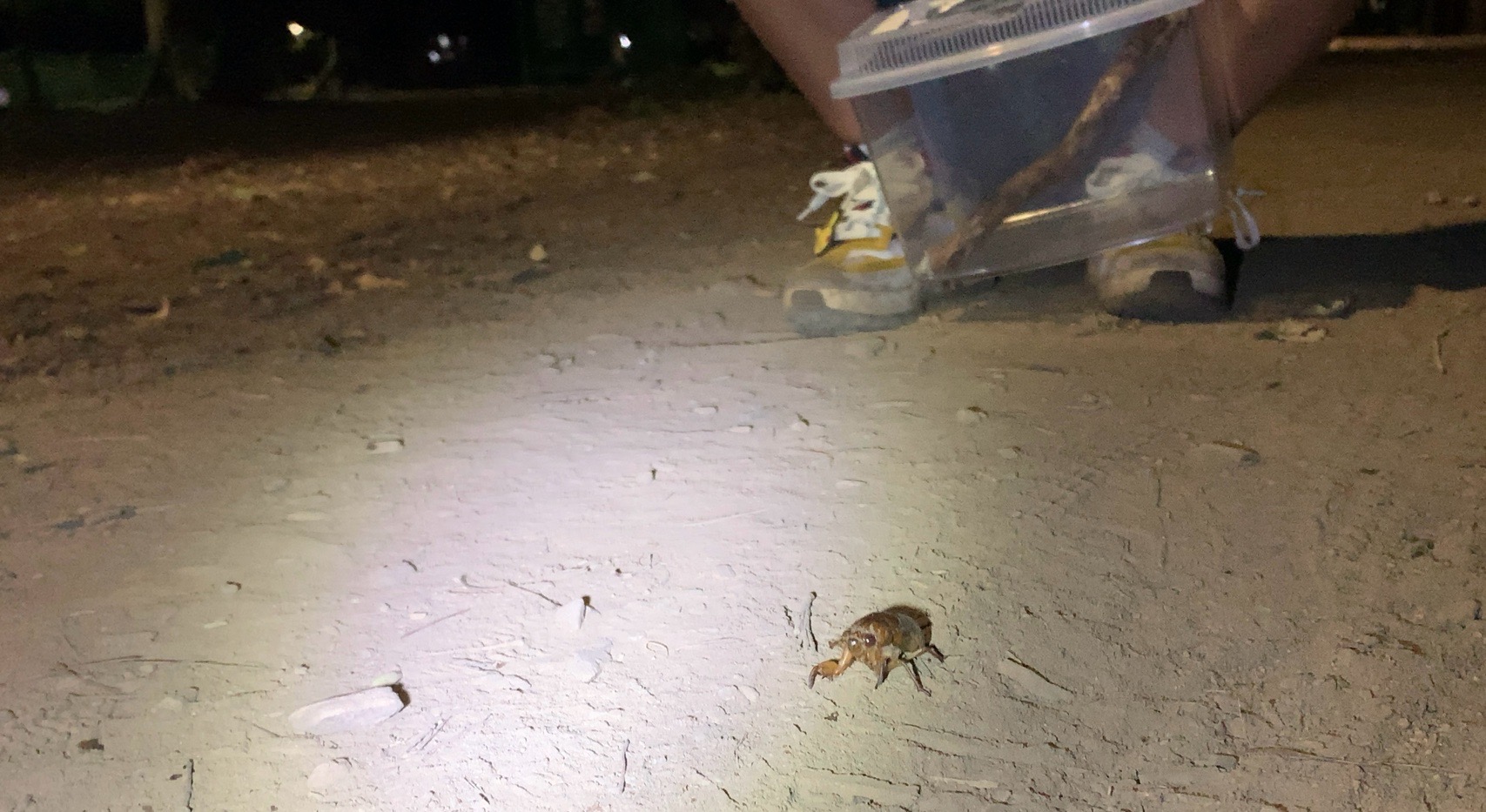 クリックで拡大(撮影:中野龍三)。