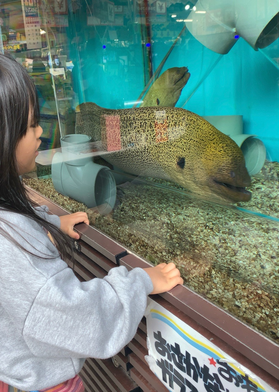 クリックで拡大(撮影:中野龍三)。