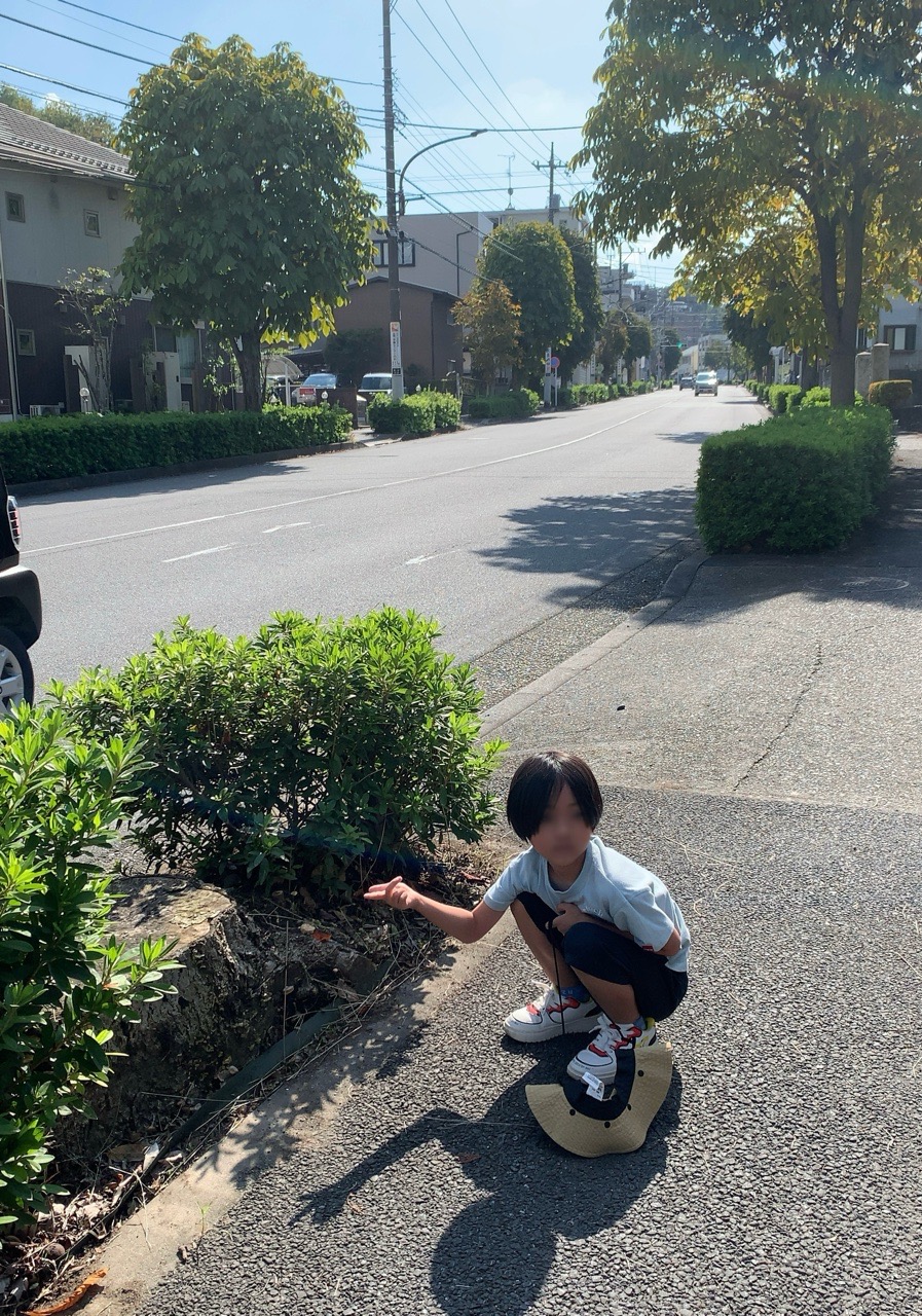 クリックで拡大(撮影:中野龍三)。