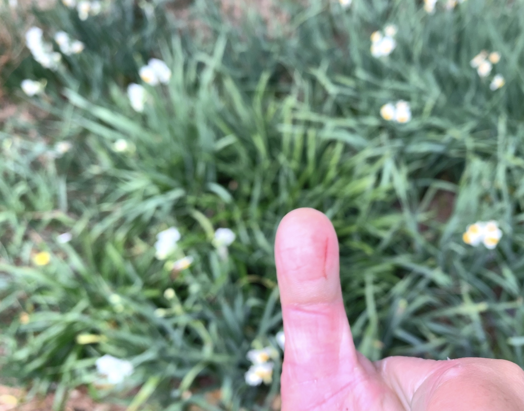 クリックで拡大(撮影:中野龍三)。