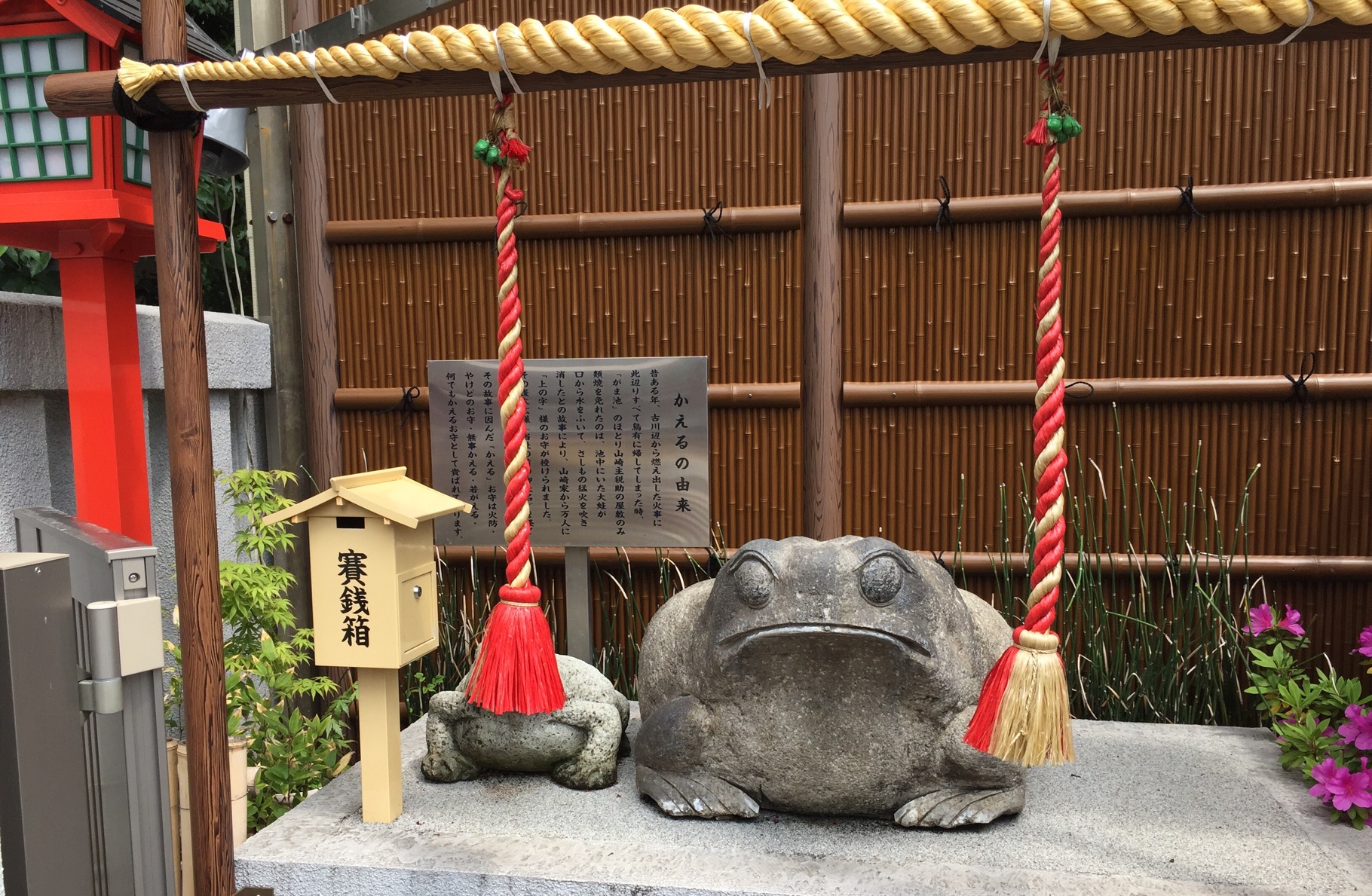 クリックで拡大(撮影:中野龍三)。