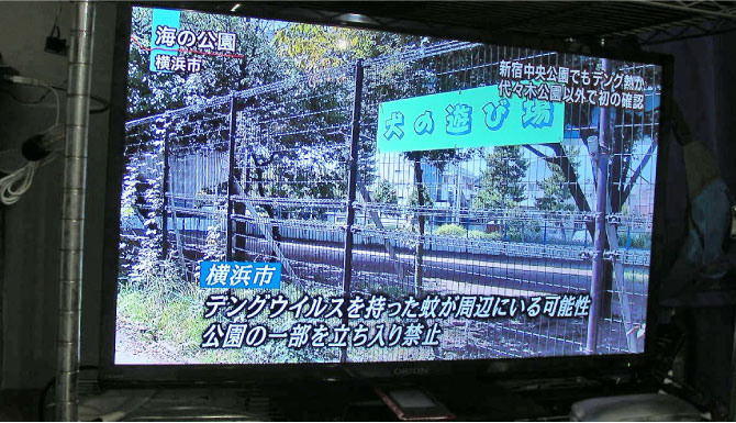 クリックで拡大。