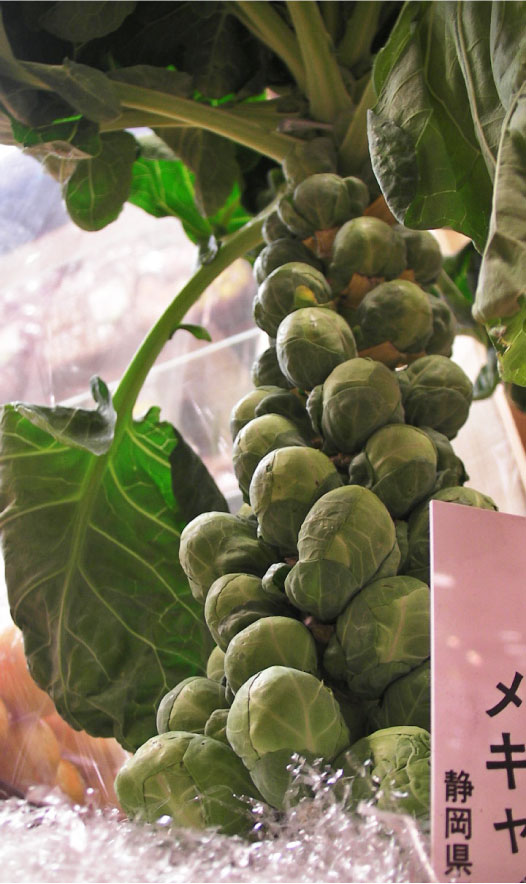 mekyabetu131227-3