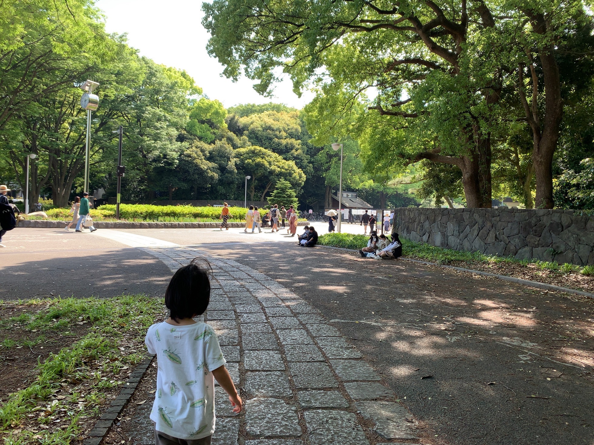 クリックで拡大(撮影:中野龍三)。