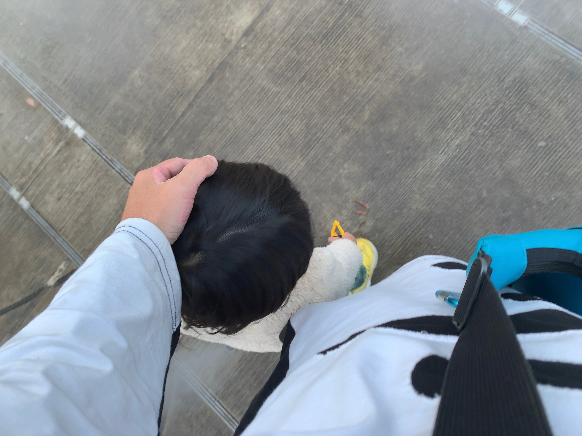 クリックで拡大(撮影:中野龍三)。