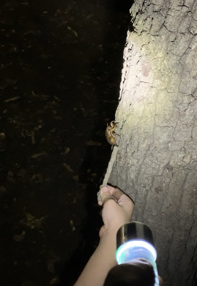 クリックで拡大(撮影:中野龍三)。