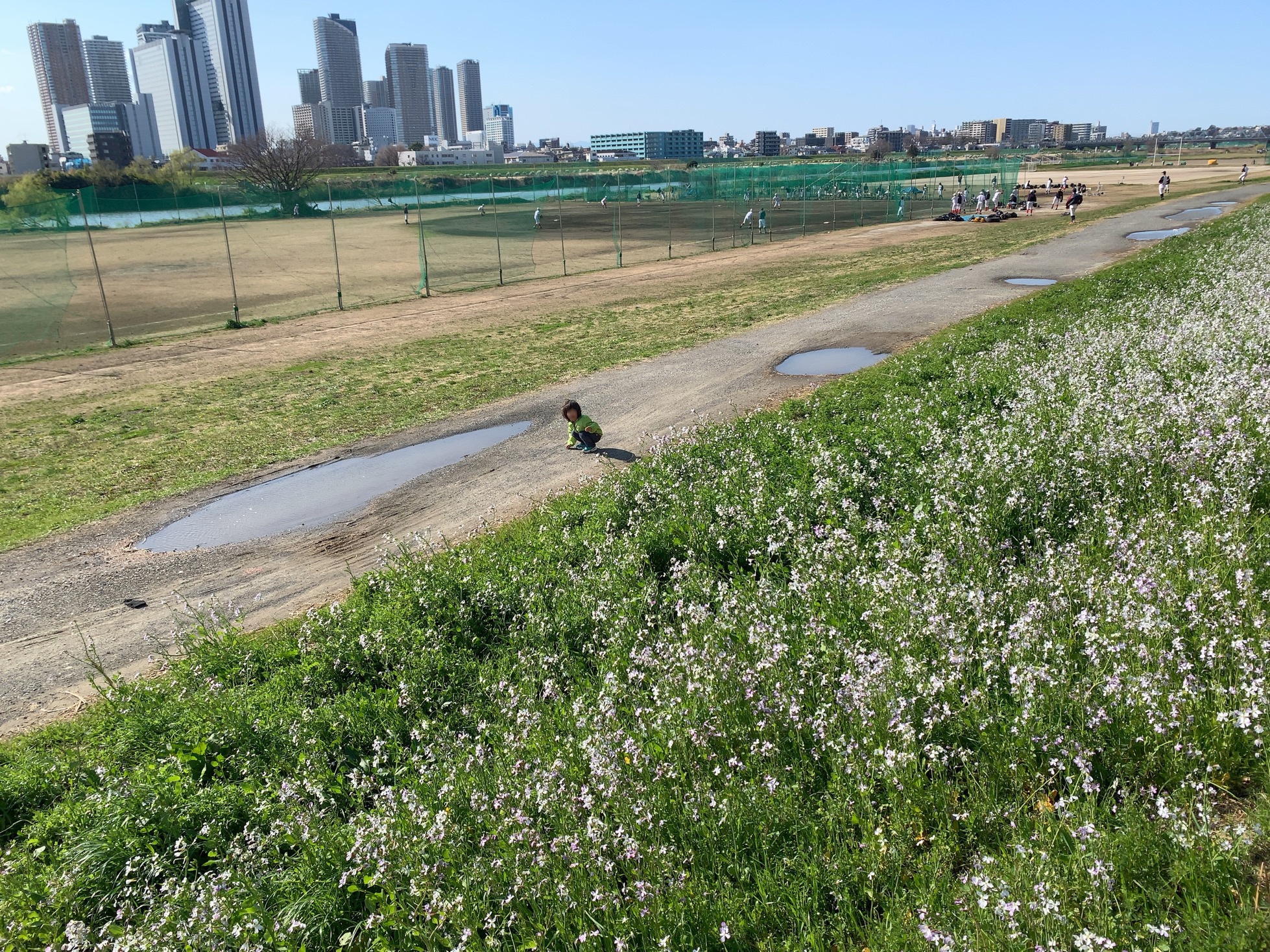 クリックで拡大(撮影:中野龍三)。