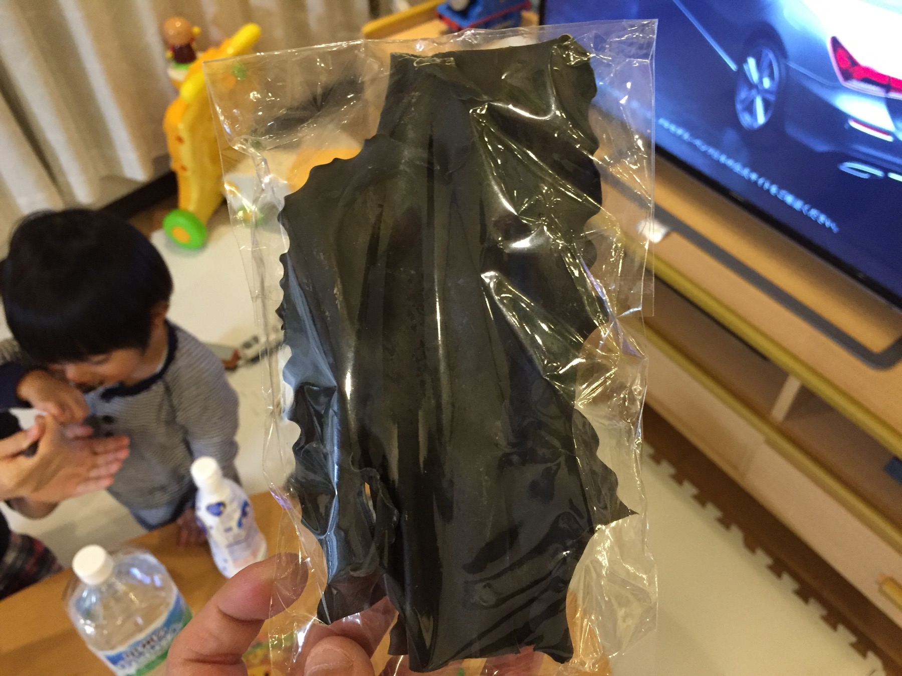 クリックで拡大(撮影:中野龍三)。