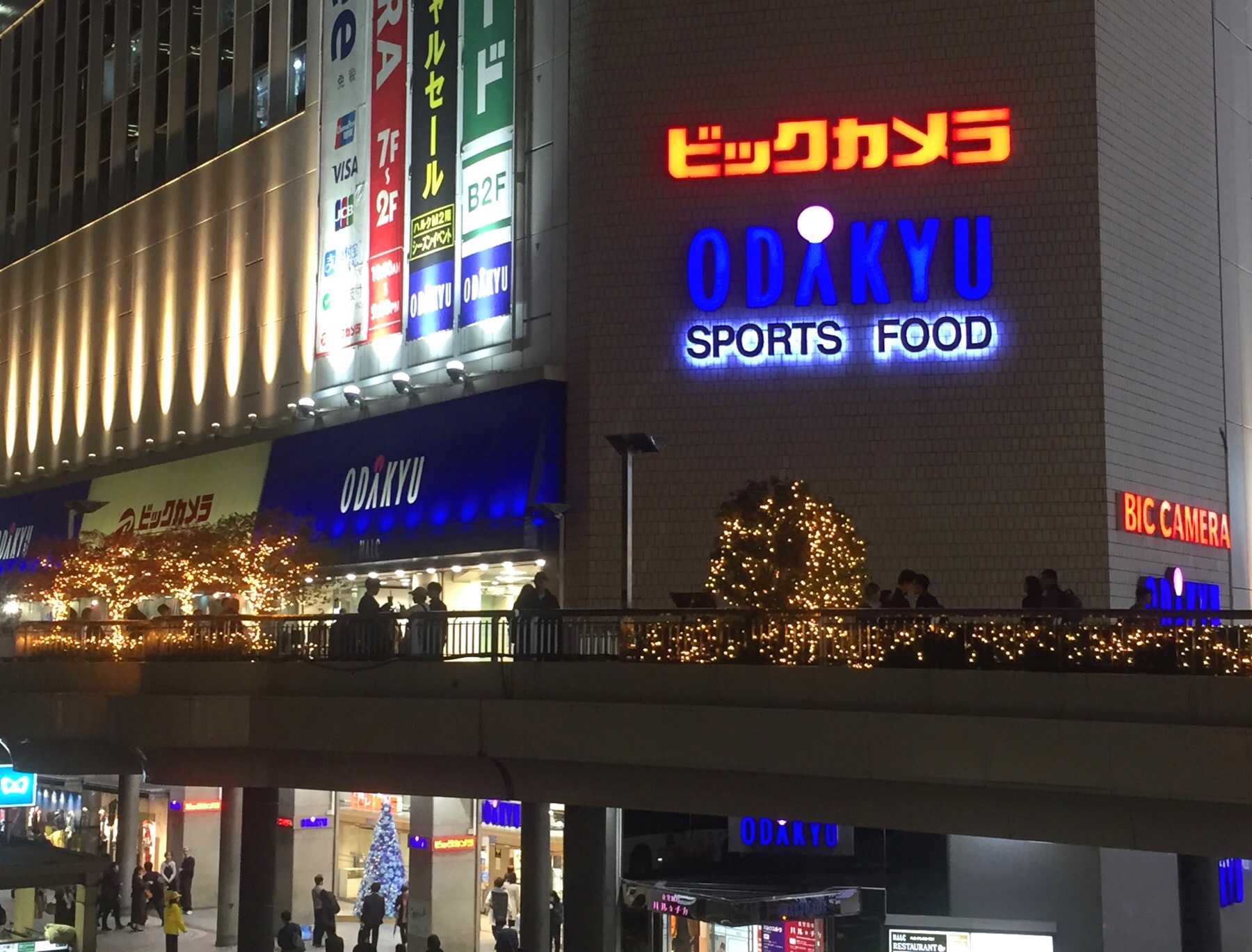 クリックで拡大(撮影:中野龍三)。