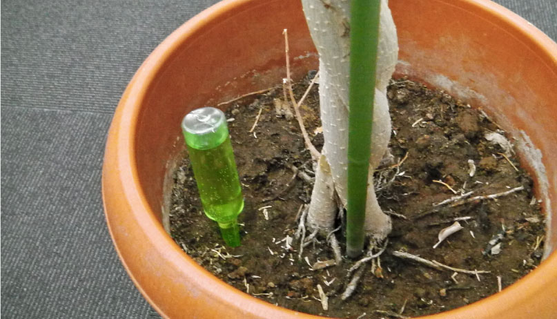 クリックで拡大。