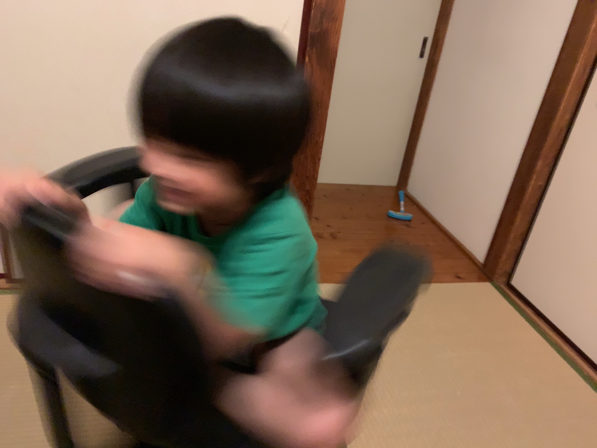 クリックで拡大(撮影:中野龍三)。