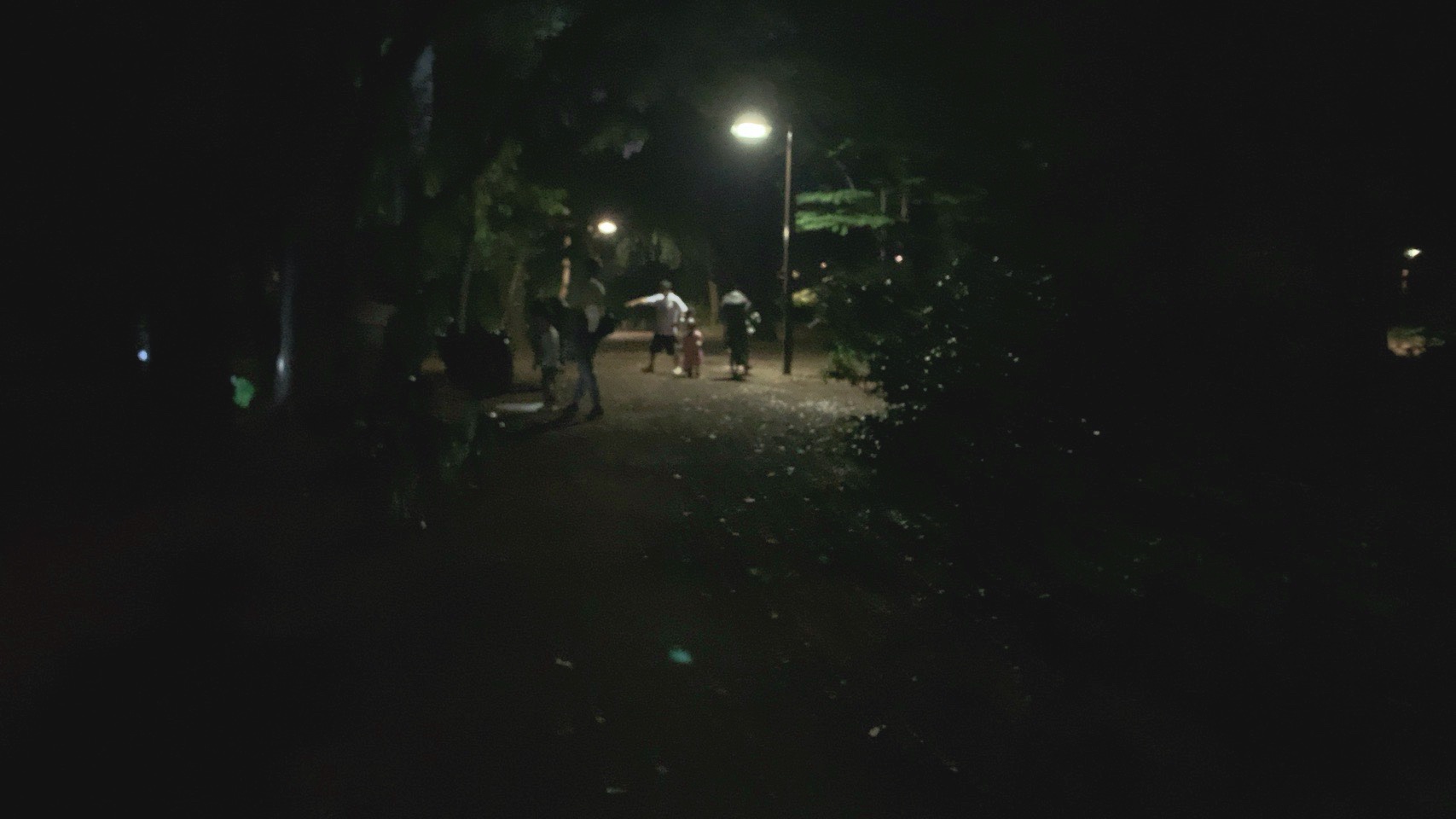 クリックで拡大(撮影:中野龍三)。