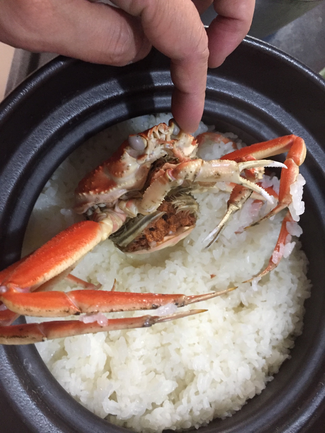 クリックで拡大(撮影:中野龍三)。