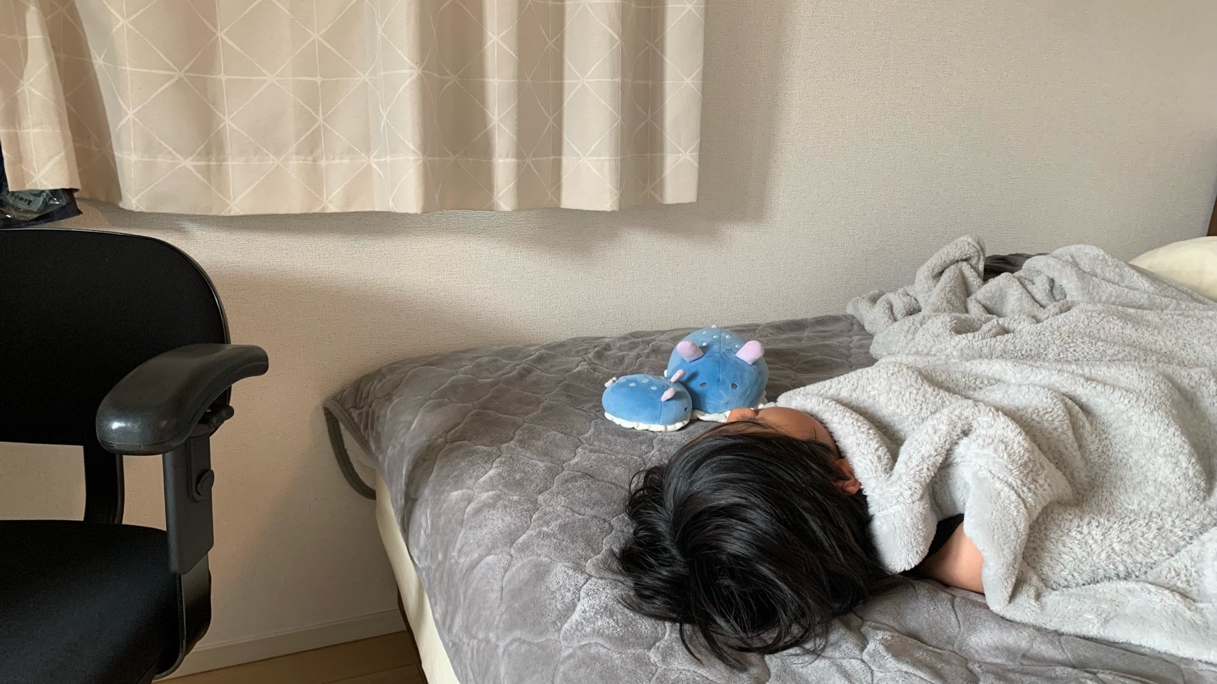 クリックで拡大(撮影:中野龍三)。