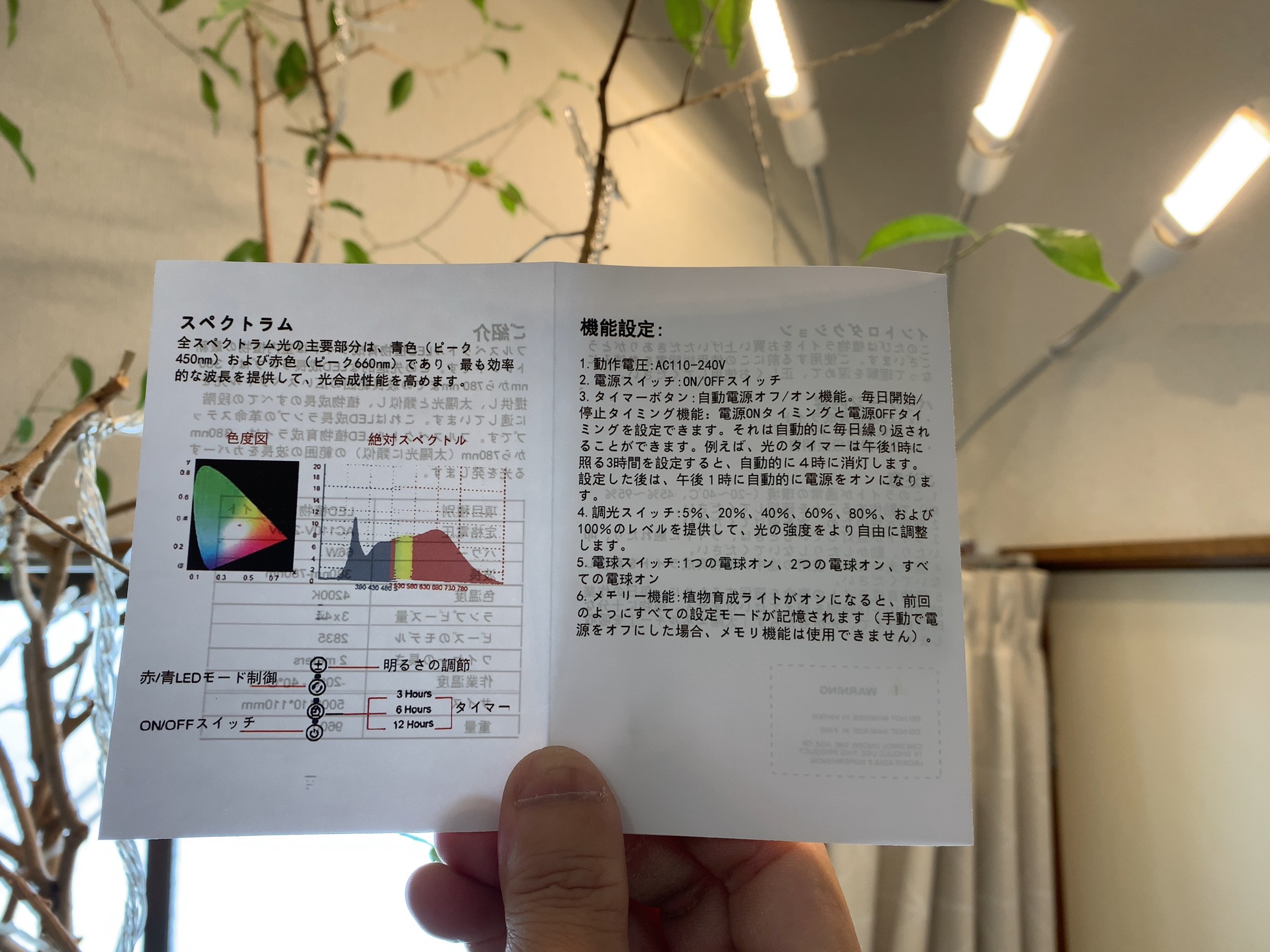 クリックで拡大(撮影:中野龍三)。