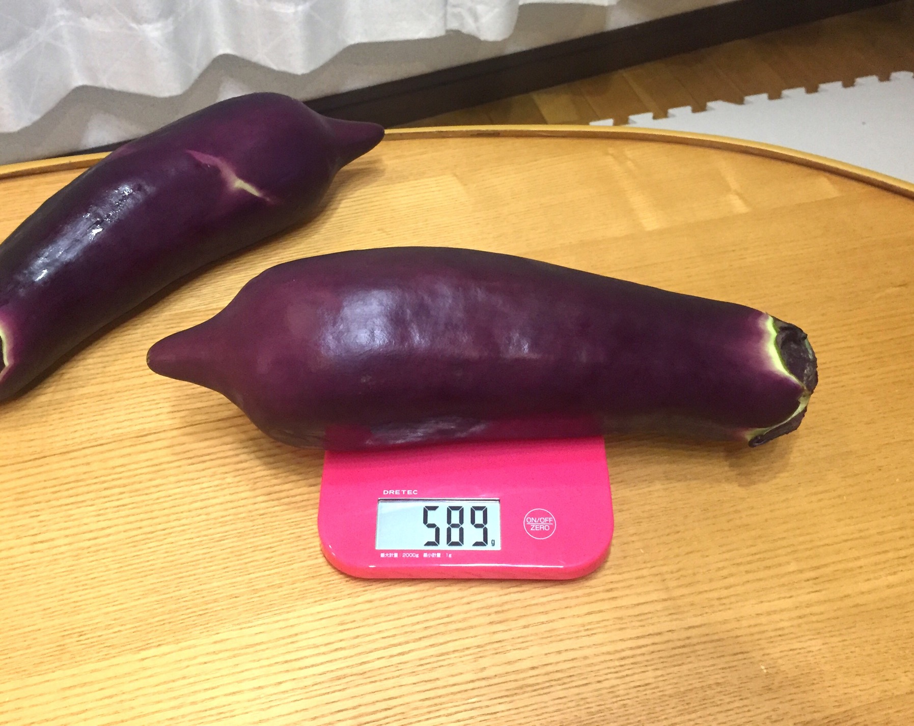 クリックで拡大(撮影:中野龍三)。
