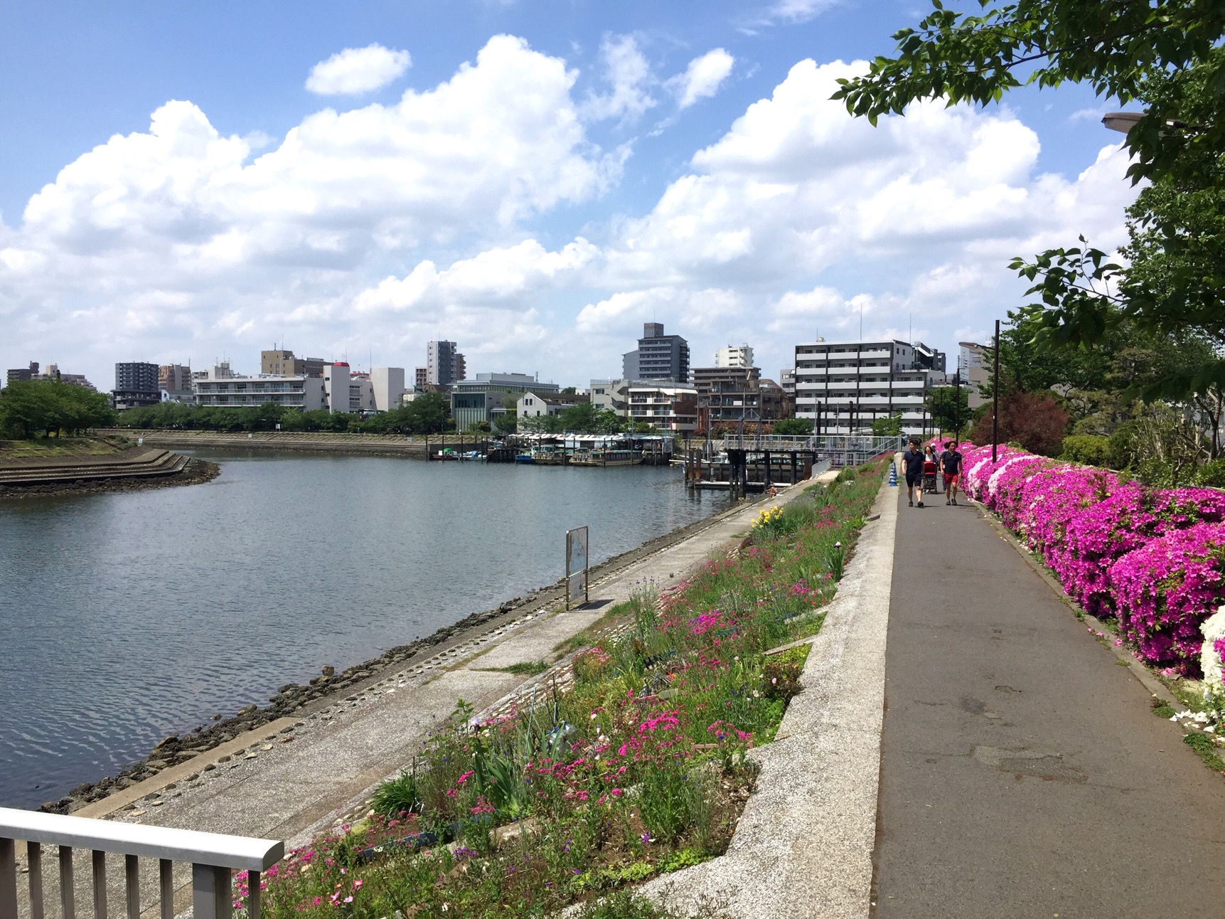 クリックで拡大(撮影:中野龍三)。