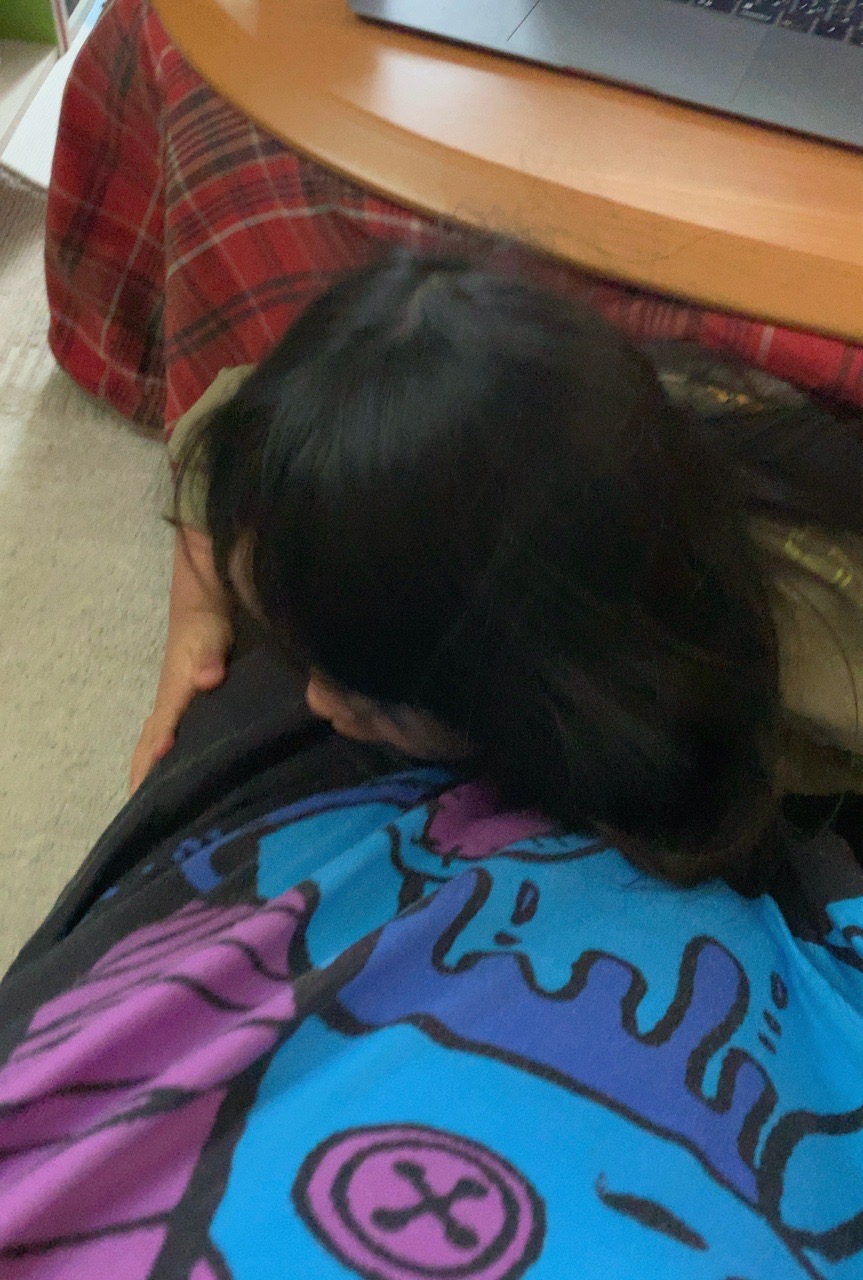 クリックで拡大（撮影：中野龍三）。